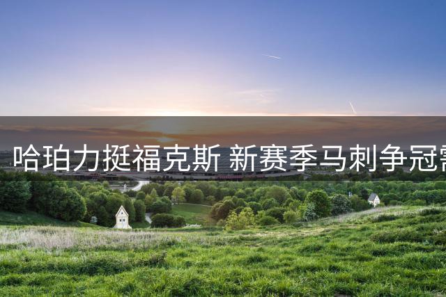 哈珀力挺福克斯 新赛季马刺争冠需三大关键因素